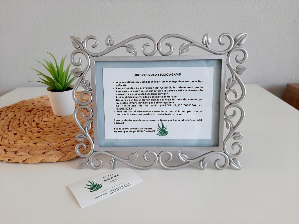 Studio Agave Apartment Torrevieja Luaran gambar
